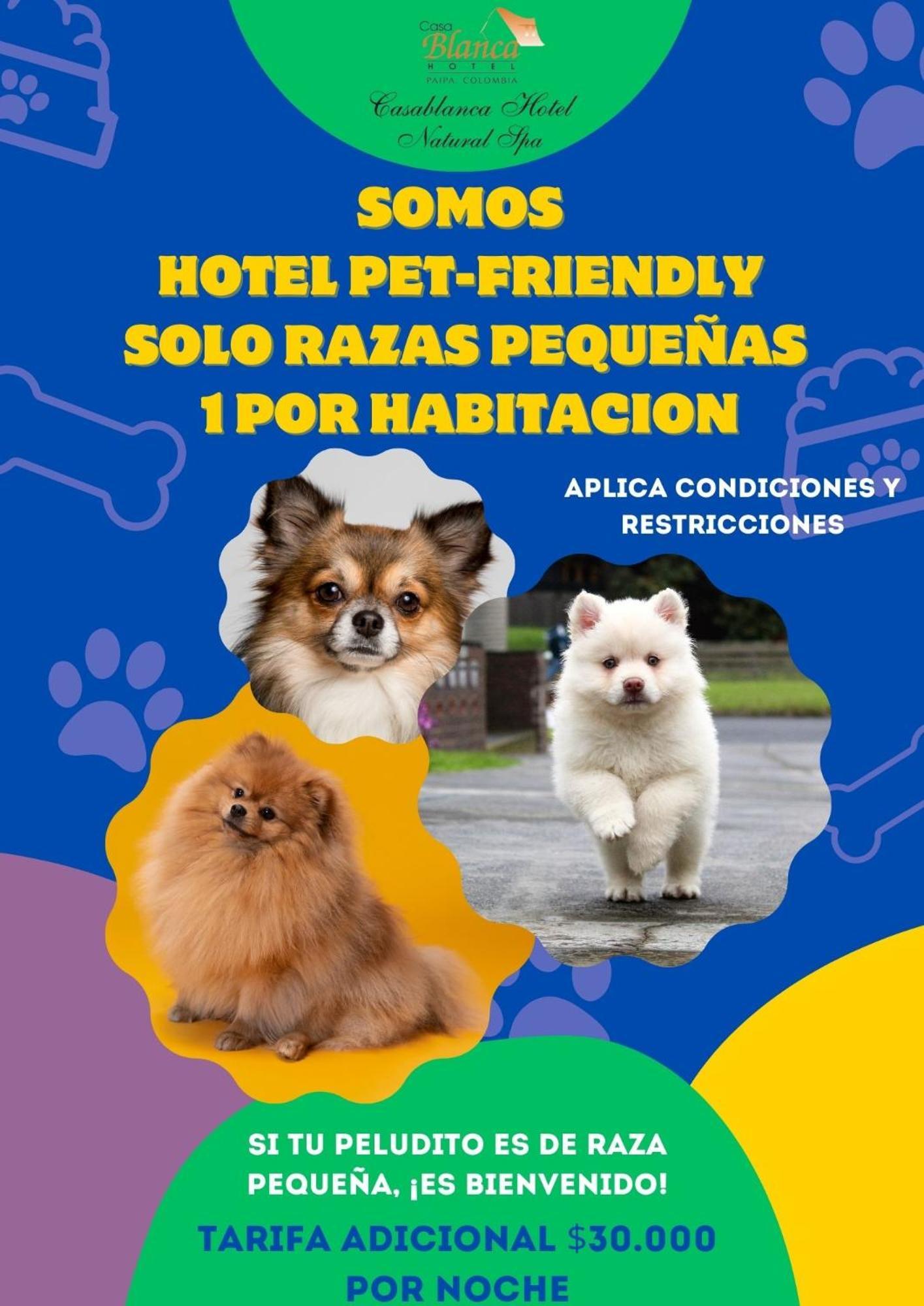 Hotel Casablanca Natural Spa Paipa Kültér fotó